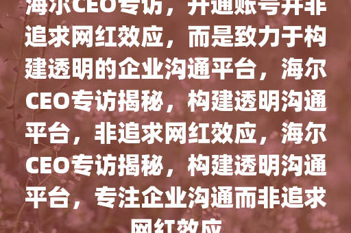 海尔CEO专访，开通账号并非追求网红效应，而是致力于构建透明的企业沟通平台，海尔CEO专访揭秘，构建透明沟通平台，非追求网红效应，海尔CEO专访揭秘，构建透明沟通平台，专注企业沟通而非追求网红效应
