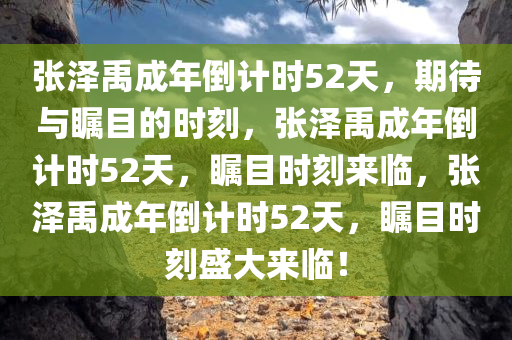 张泽禹成年倒计时52天，期待与瞩目的时刻，张泽禹成年倒计时52天，瞩目时刻来临，张泽禹成年倒计时52天，瞩目时刻盛大来临！