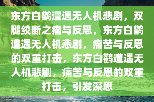 东方白鹳遭遇无人机悲剧，双腿绞断之痛与反思，东方白鹳遭遇无人机悲剧，痛苦与反思的双重打击，东方白鹳遭遇无人机悲剧，痛苦与反思的双重打击，引发深思
