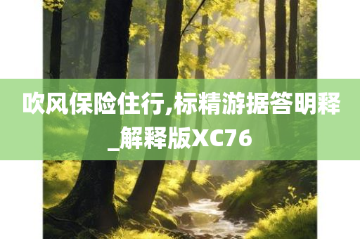 吹风保险住行,标精游据答明释_解释版XC76