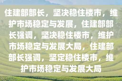 住建部部长，坚决稳住楼市，维护市场稳定与发展，住建部部长强调，坚决稳住楼市，维护市场稳定与发展大局，住建部部长强调，坚定稳住楼市，维护市场稳定与发展大局
