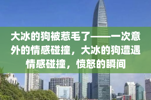 大冰的狗被惹毛了——一次意外的情感碰撞，大冰的狗遭遇情感碰撞，愤怒的瞬间