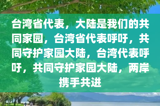 台湾省代表，大陆是我们的共同家园，台湾省代表呼吁，共同守护家园大陆，台湾代表呼吁，共同守护家园大陆，两岸携手共进