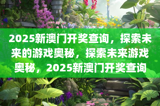 2025新澳门开奖查询，探索未来的游戏奥秘，探索未来游戏奥秘，2025新澳门开奖查询