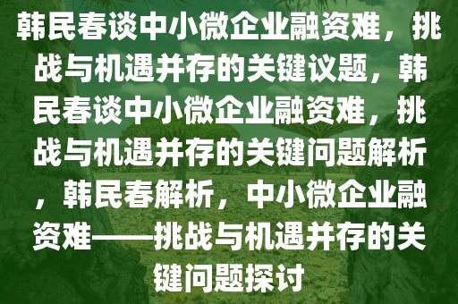 韩民春谈中小微企业融资难，挑战与机遇并存的关键议题，韩民春谈中小微企业融资难，挑战与机遇并存的关键问题解析，韩民春解析，中小微企业融资难——挑战与机遇并存的关键问题探讨