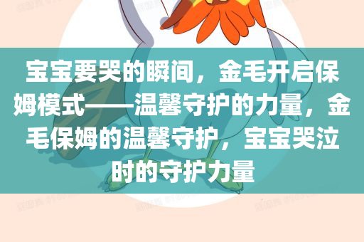 宝宝要哭的瞬间，金毛开启保姆模式——温馨守护的力量，金毛保姆的温馨守护，宝宝哭泣时的守护力量