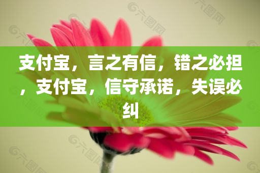支付宝，言之有信，错之必担，支付宝，信守承诺，失误必纠