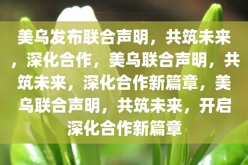 美乌发布联合声明，共筑未来，深化合作，美乌联合声明，共筑未来，深化合作新篇章，美乌联合声明，共筑未来，开启深化合作新篇章