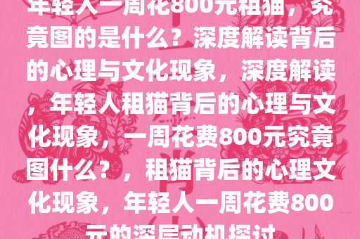 年轻人一周花800元租猫，究竟图的是什么？深度解读背后的心理与文化现象，深度解读，年轻人租猫背后的心理与文化现象，一周花费800元究竟图什么？，租猫背后的心理文化现象，年轻人一周花费800元的深层动机探讨