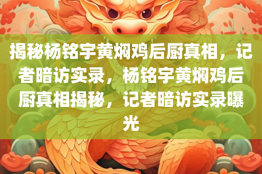 揭秘杨铭宇黄焖鸡后厨真相，记者暗访实录，杨铭宇黄焖鸡后厨真相揭秘，记者暗访实录曝光