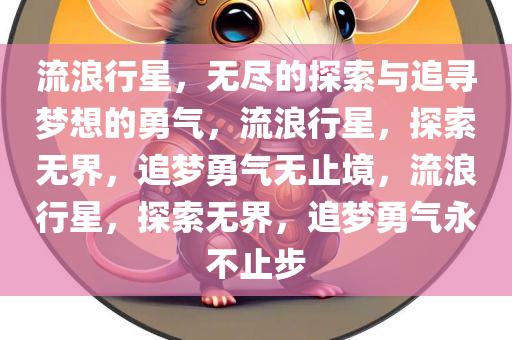 xinyu 第3页