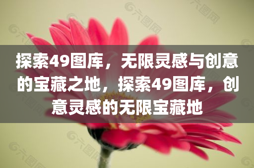 探索49图库，无限灵感与创意的宝藏之地，探索49图库，创意灵感的无限宝藏地