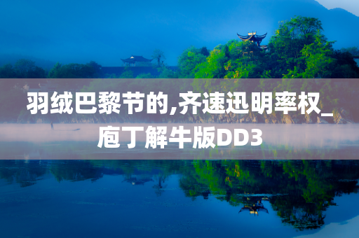 羽绒巴黎节的,齐速迅明率权_庖丁解牛版DD3