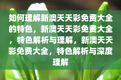 如何理解新澳天天彩免费大全的特色，新澳天天彩免费大全，特色解析与理解，新澳天天彩免费大全，特色解析与深度理解