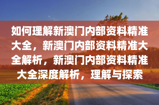 如何理解新澳门内部资料精准大全，新澳门内部资料精准大全解析，新澳门内部资料精准大全深度解析，理解与探索