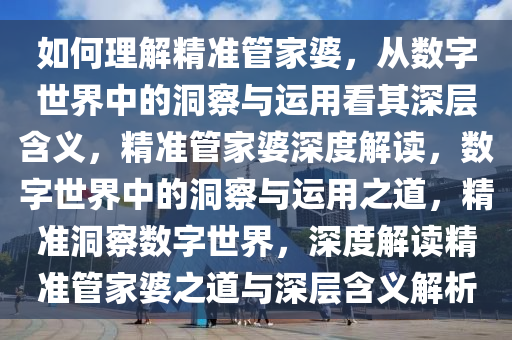 如何理解精准管家婆，从数字世界中的洞察与运用看其深层含义，精准管家婆深度解读，数字世界中的洞察与运用之道，精准洞察数字世界，深度解读精准管家婆之道与深层含义解析