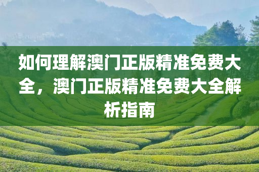 如何理解澳门正版精准免费大全，澳门正版精准免费大全解析指南