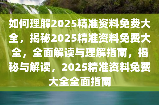 如何理解2025精准资料免费大全，揭秘2025精准资料免费大全，全面解读与理解指南，揭秘与解读，2025精准资料免费大全全面指南