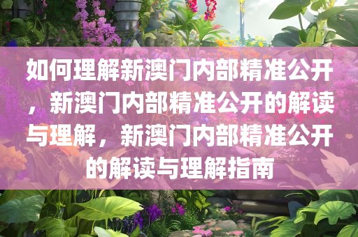 如何理解新澳门内部精准公开，新澳门内部精准公开的解读与理解，新澳门内部精准公开的解读与理解指南