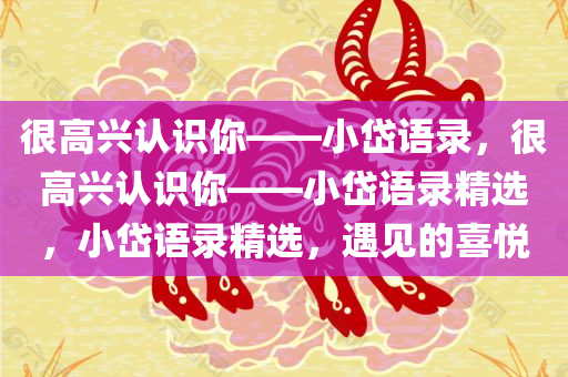 很高兴认识你——小岱语录，很高兴认识你——小岱语录精选，小岱语录精选，遇见的喜悦