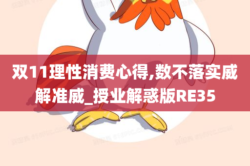 双11理性消费心得,数不落实威解准威_授业解惑版RE35