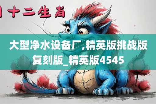 大型净水设备厂,精英版挑战版复刻版_精英版4545