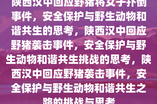 陕西汉中回应野猪将女子扑倒事件，安全保护与野生动物和谐共生的思考，陕西汉中回应野猪袭击事件，安全保护与野生动物和谐共生挑战的思考，陕西汉中回应野猪袭击事件，安全保护与野生动物和谐共生之路的挑战与思考