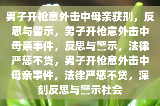男子开枪意外击中母亲获刑，反思与警示，男子开枪意外击中母亲事件，反思与警示，法律严惩不贷，男子开枪意外击中母亲事件，法律严惩不贷，深刻反思与警示社会