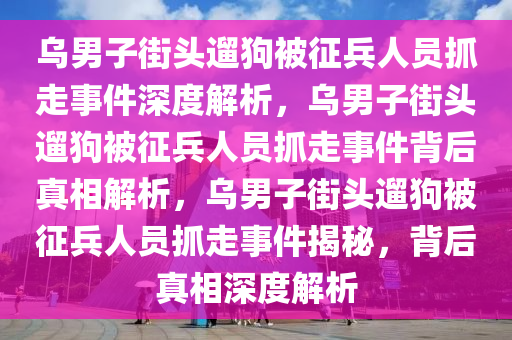 乌男子街头遛狗被征兵人员抓走事件深度解析，乌男子街头遛狗被征兵人员抓走事件背后真相解析，乌男子街头遛狗被征兵人员抓走事件揭秘，背后真相深度解析