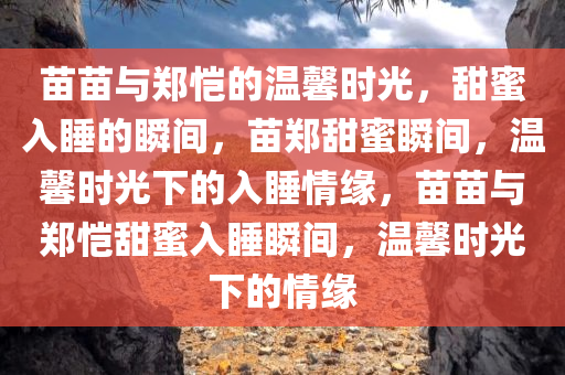 苗苗与郑恺的温馨时光，甜蜜入睡的瞬间，苗郑甜蜜瞬间，温馨时光下的入睡情缘，苗苗与郑恺甜蜜入睡瞬间，温馨时光下的情缘