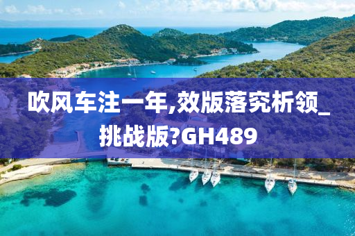 吹风车注一年,效版落究析领_挑战版?GH489