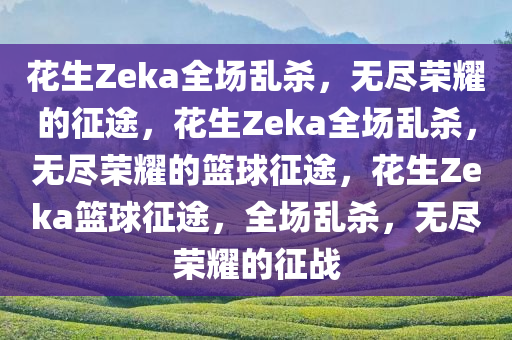 花生Zeka全场乱杀，无尽荣耀的征途，花生Zeka全场乱杀，无尽荣耀的篮球征途，花生Zeka篮球征途，全场乱杀，无尽荣耀的征战