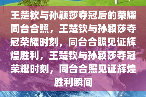 王楚钦与孙颖莎夺冠后的荣耀同台合照，王楚钦与孙颖莎夺冠荣耀时刻，同台合照见证辉煌胜利，王楚钦与孙颖莎夺冠荣耀时刻，同台合照见证辉煌胜利瞬间