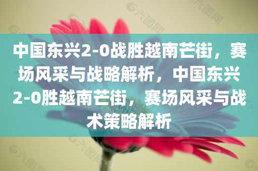 中国东兴2-0战胜越南芒街，赛场风采与战略解析，中国东兴2-0胜越南芒街，赛场风采与战术策略解析，中国东兴2-0胜越南芒街，赛场风采与战术策略详解
