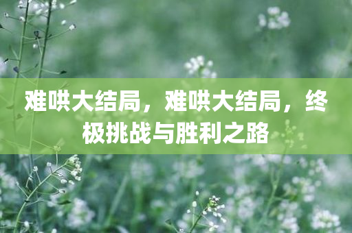难哄大结局，难哄大结局，终极挑战与胜利之路，终极挑战与胜利之路，难哄大结局揭秘