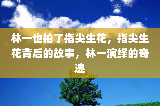 林一也拍了指尖生花，指尖生花背后的故事，林一演绎的奇迹，林一演绎的指尖生花，背后的故事与奇迹
