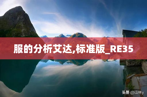 服的分析艾达,标准版_RE35