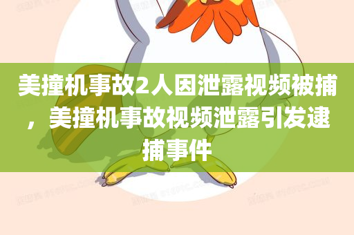 美撞机事故2人因泄露视频被捕，美撞机事故视频泄露引发逮捕事件，美撞机事故视频泄露引发逮捕风波