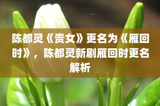 陈都灵《贵女》更名为《雁回时》，陈都灵新剧雁回时更名解析，陈都灵新剧雁回时，更名解析与期待视野