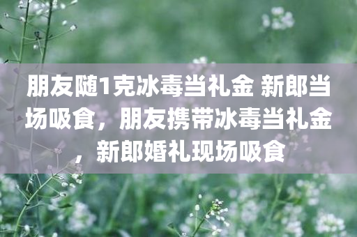朋友随1克冰毒当礼金 新郎当场吸食，朋友携带冰毒当礼金，新郎婚礼现场吸食，婚礼现场惊现冰毒礼金，新郎现场吸食毒品事件