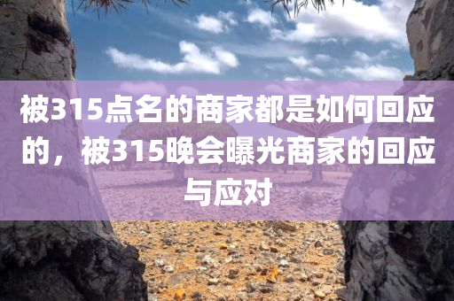 被315点名的商家都是如何回应的，被315晚会曝光商家的回应与应对，被315晚会曝光商家的回应与应对策略