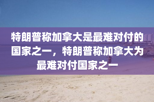 特朗普称加拿大是最难对付的国家之一，特朗普称加拿大为最难对付国家之一，特朗普称加拿大为最难对付的国家之一引发热议