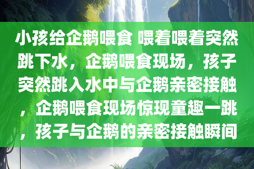 小孩给企鹅喂食 喂着喂着突然跳下水，企鹅喂食现场，孩子突然跳入水中与企鹅亲密接触，企鹅喂食现场惊现童趣一跳，孩子与企鹅的亲密接触瞬间