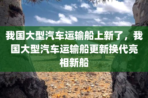 我国大型汽车运输船上新了，我国大型汽车运输船更新换代亮相新船，我国大型汽车运输船更新换代，新船亮相引瞩目