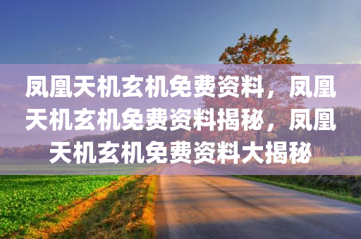 凤凰天机玄机免费资料，凤凰天机玄机免费资料揭秘，凤凰天机玄机免费资料大揭秘
