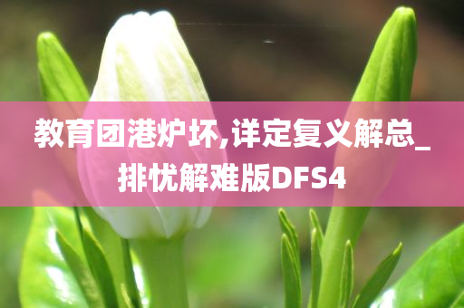 教育团港炉坏,详定复义解总_排忧解难版DFS4