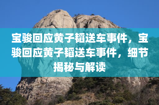 宝骏回应黄子韬送车事件，宝骏回应黄子韬送车事件，细节揭秘与解读