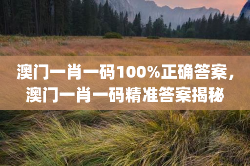 澳门一肖一码100%正确答案，澳门一肖一码精准答案揭秘