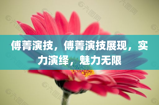 傅菁演技，傅菁演技展现，实力演绎，魅力无限