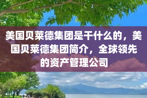 美国贝莱德集团是干什么的，美国贝莱德集团简介，全球领先的资产管理公司